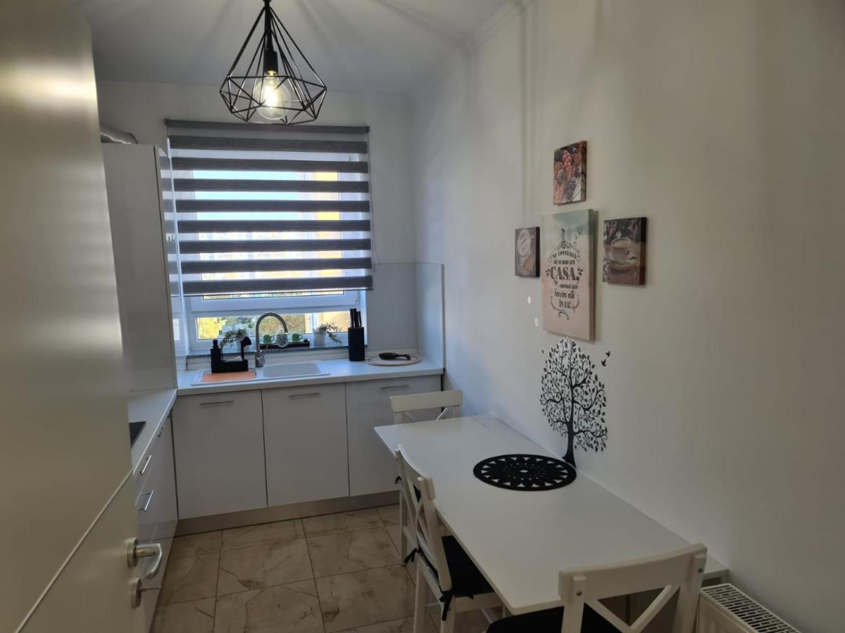 Oscar House Apartment Brasov Bagian luar foto